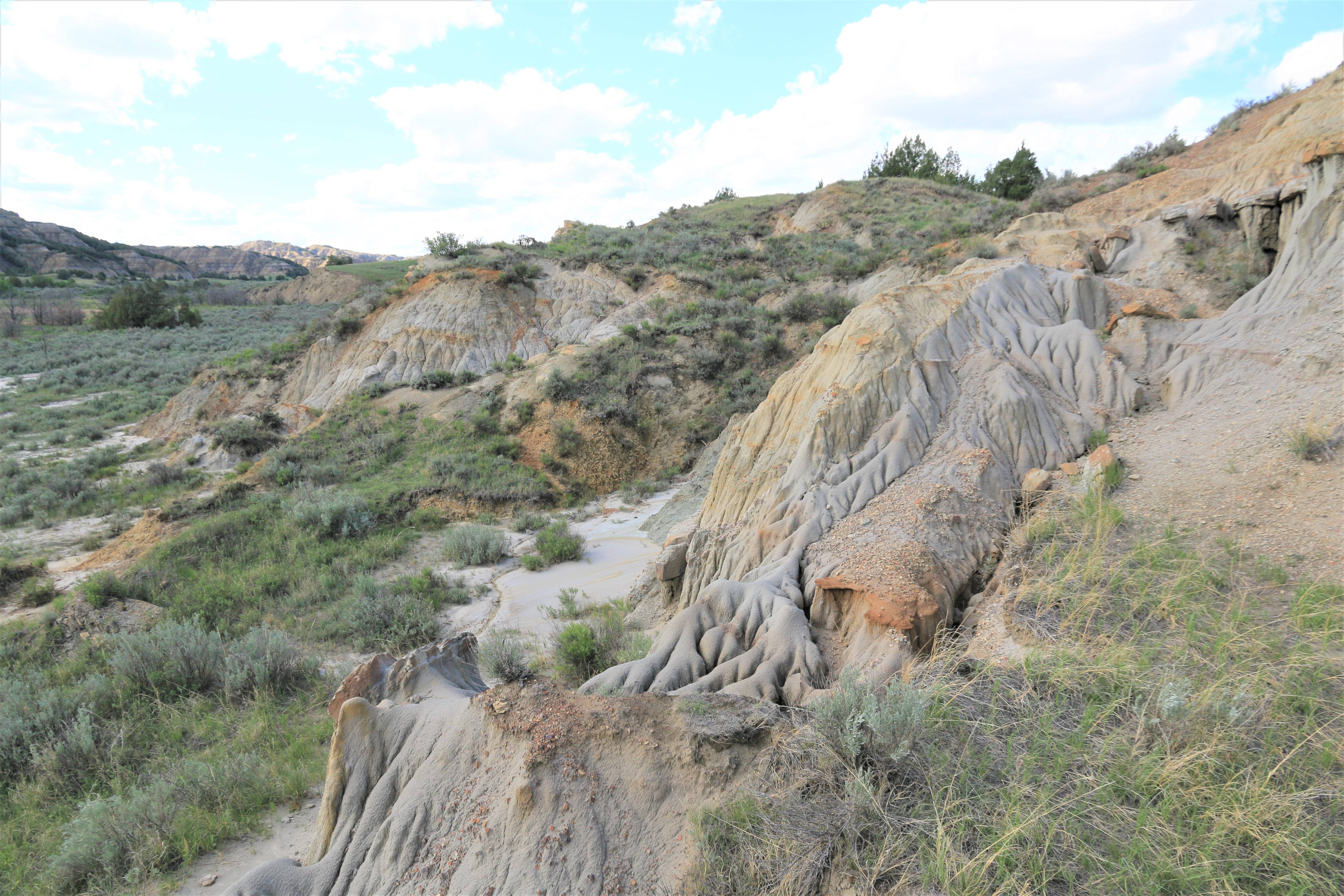 Theodore Roosevelt NP